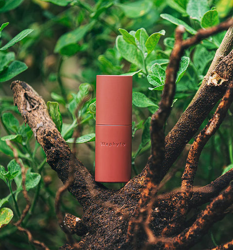WAPHYTO Regena Anti-Aging Serum