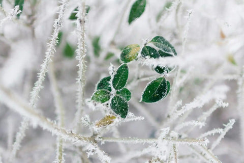 Warum Du im Winter eine andere Hautpflege brauchst