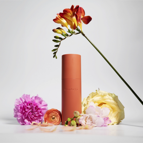 WAPHYTO Basics Set - Japanese Routine