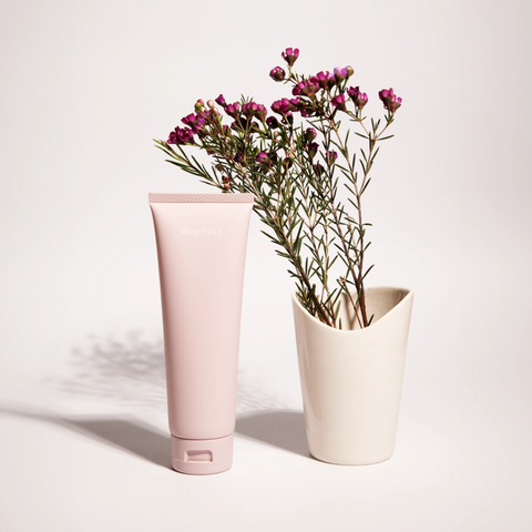 WAPHYTO Basics Set - Japanese Routine