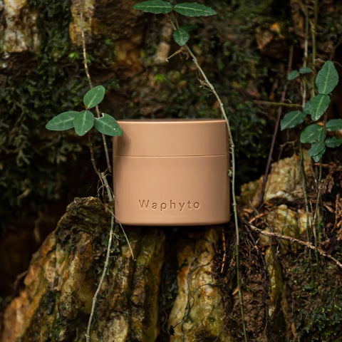 WAPHYTO Regena Enriched Cream